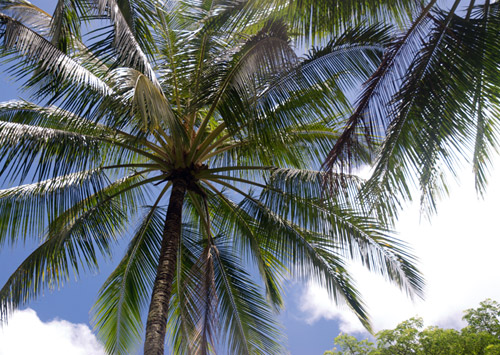 Oahu, Hawaii